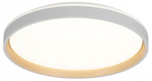 Накладной светильник Citilux ENZO CL753510G Накладной светильник Citilux ENZO CL753510G