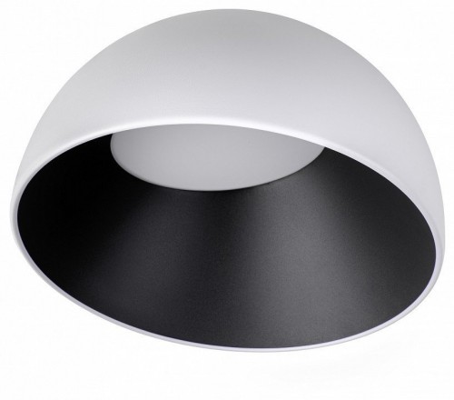 Потолочный светильник Loft IT Egg 10197/350 WB