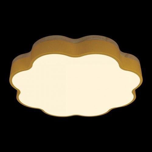 Потолочный светильник Axel 10225/36 Yellow