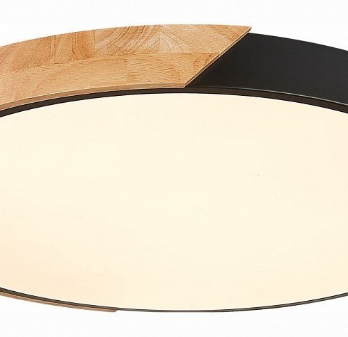 Потолочный светодиодный светильник Evoluce Festa SLE200942-01