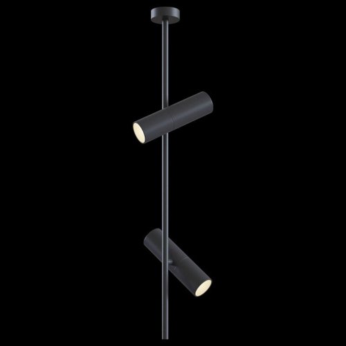 Подвесной светильник Maytoni Elti C021CL-02B Подвесной светильник Maytoni Elti C021CL-02B