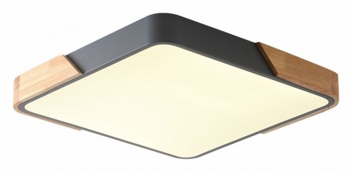 Потолочный светильник Zortes Alberro ZRS.01288.36