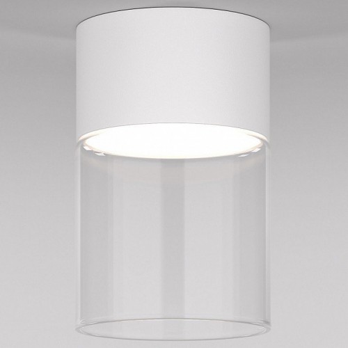 Потолочный светодиодный светильник Elektrostandard Lumen 25047/LED 10W 4000К белый/прозрачный a064710