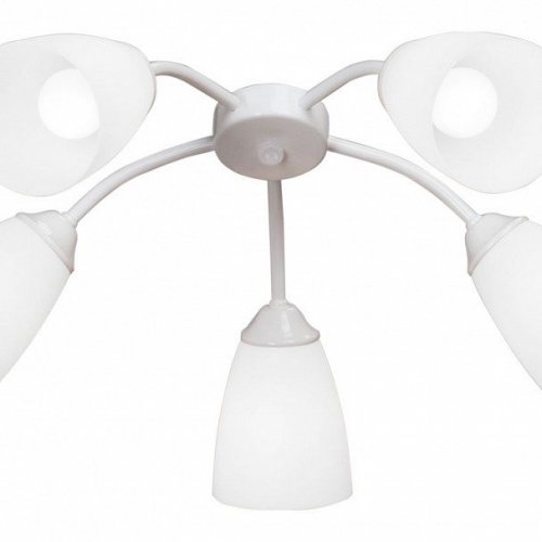 Потолочная люстра Vitaluce V3187-0/5PL Потолочная люстра Vitaluce V3187-0/5PL