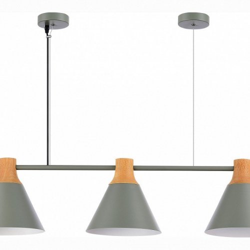 Подвесной светильник Evoluce MODICA SLE125113-03