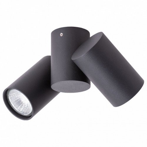 Спот Arte Lamp Gavroche A1511PL-2BK Спот Arte Lamp Gavroche A1511PL-2BK