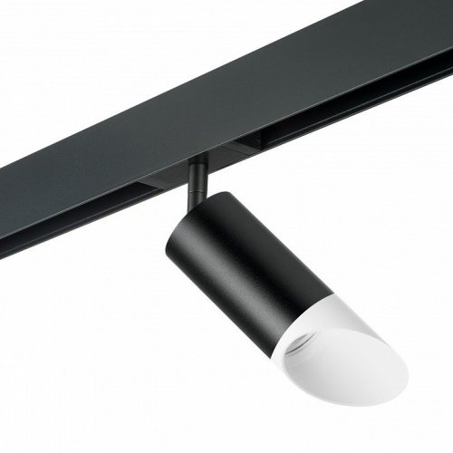 Светильник на штанге Lightstar Rullo PRO43736 Светильник на штанге Lightstar Rullo PRO43736