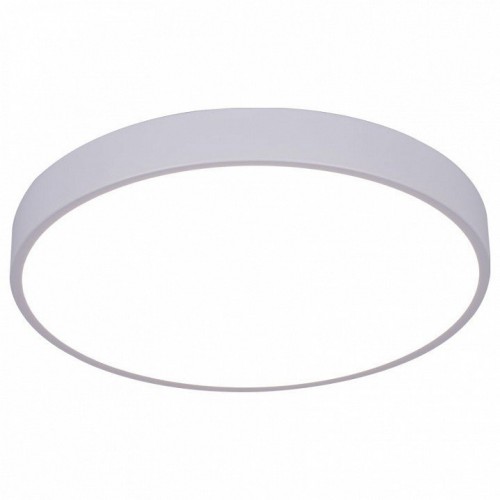 Потолочный светодиодный светильник Arte Lamp Arena A2661PL-1WH