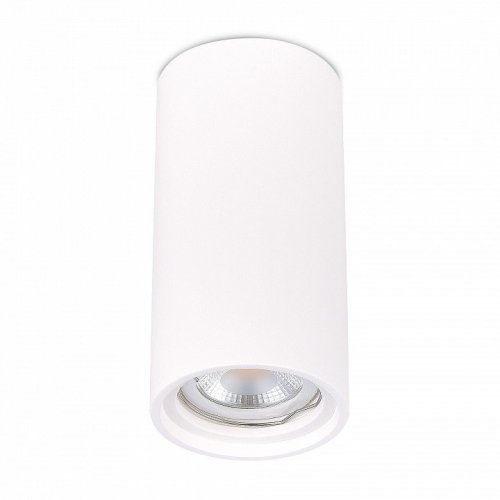 Потолочный светильник ST Luce ST155.502.01 Потолочный светильник ST Luce ST155.502.01