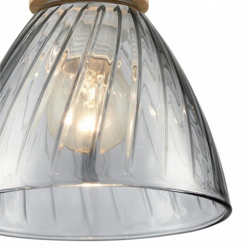 Подвесной светильник Lumion Mirabela 8050/1А Подвесной светильник Lumion Mirabela 8050/1А