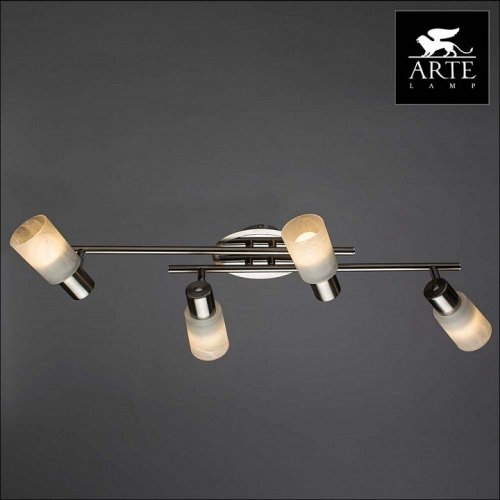 Потолочный светильник Arte Lamp Cavalletta A4510PL-4SS