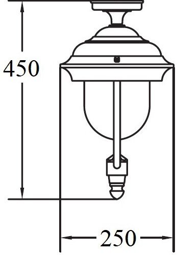 Потолочный светильник уличный Oasis Light MADRID 84305A Bl