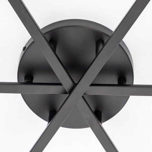 Потолочная люстра Citilux Glob CL209291