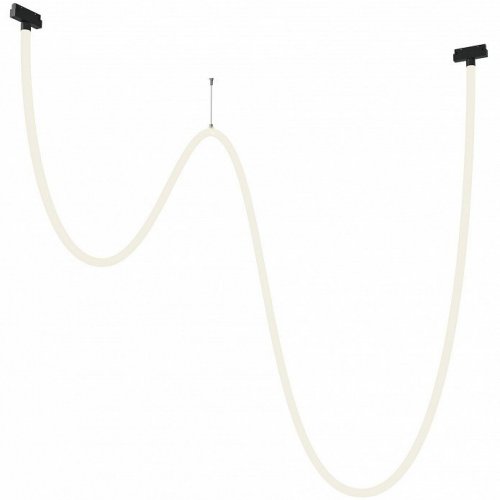 Трековый светильник Maytoni Tau TR101-2-100W4K-B