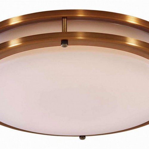 Настенно-потолочный светильник Citilux Бостон CL709323N