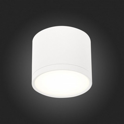 Накладной светильник ST Luce Rene ST113.542.09