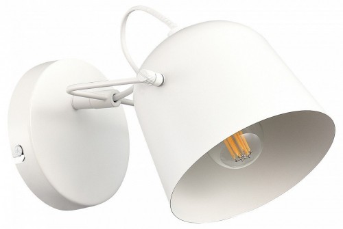 Настенный светильник Evoluce SLE1805-501-01