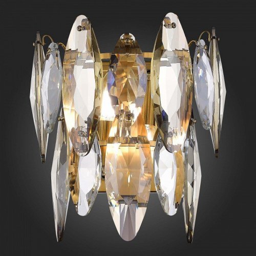 Накладной светильник ST Luce Ancona SL1227.301.02