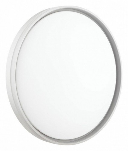 Настенно-потолочный светодиодный светильник Sonex Savi 7631/DL Настенно-потолочный светодиодный светильник Sonex Savi 7631/DL