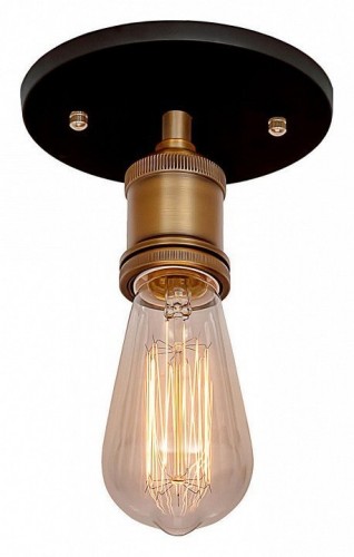 Потолочный светильник Loft IT Loft3103C