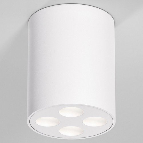 Потолочный светильник Elektrostandard 25111/LED a067483