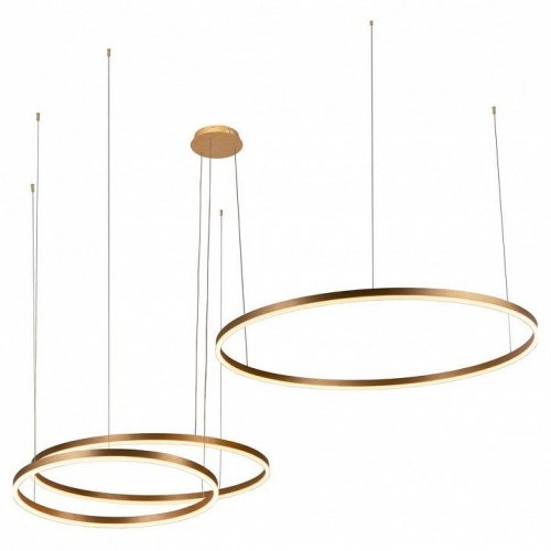 Подвесной светодиодный светильник Loft IT Ring 10017/3L