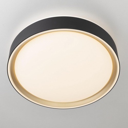 Накладной светильник Citilux BOSS CL751251G Накладной светильник Citilux BOSS CL751251G