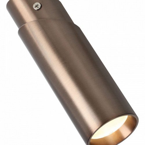Потолочный светодиодный светильник Favourite Insuper 2798-1U