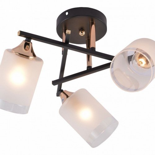 Люстра на штанге Rivoli Fiona Б0059259