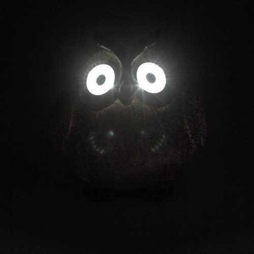 Светильник на солнечных батареях ЭРА Сова ERAFYS01-08