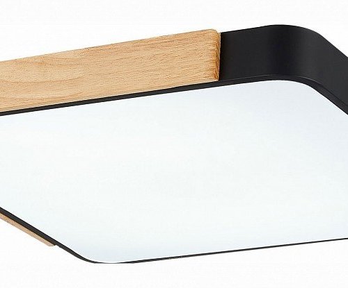 Потолочный светильник Evoluce Festa SLE201242-01