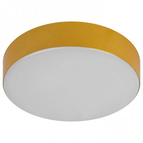 Потолочный светильник ЭРА Relict 22 SPB-6-20 4К MG