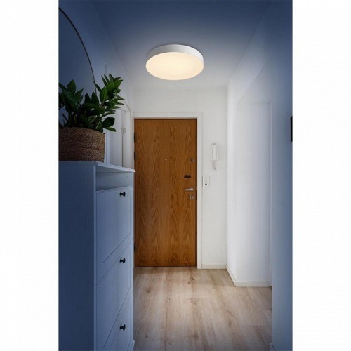 Настенно-потолочный светильник Sonex Optima 7779/ELN