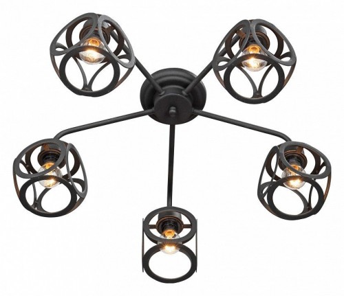 Потолочная люстра Vitaluce V4973 V4973-1/5PL