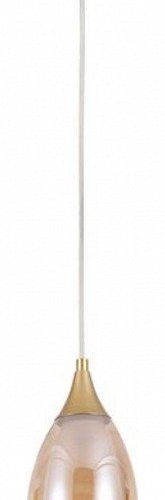 Подвесной светильник Arte Lamp Barry A7951SP-1GO