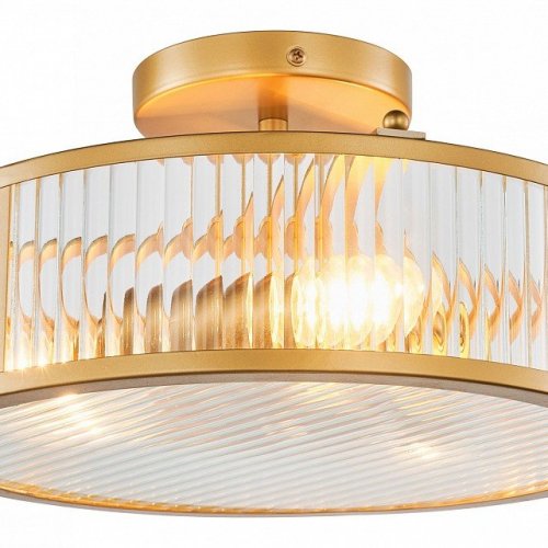 Потолочная люстра Favourite Radiales 3099-3C Потолочная люстра Favourite Radiales 3099-3C