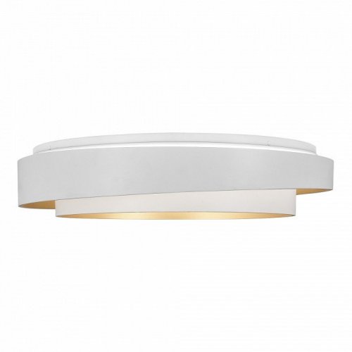 Потолочный светильник Evoluce Crosby SLE6009-502-01 Потолочный светильник Evoluce Crosby SLE6009-502-01