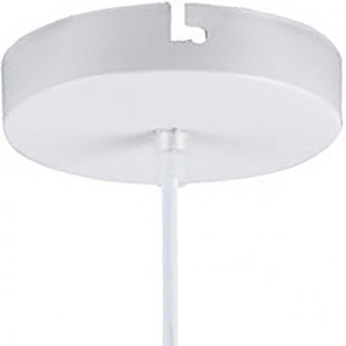 Подвесной светильник Lussole Lgo Dove LSP-8220