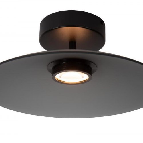 Потолочный светильник Lucide MENGA 25117/10/65