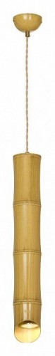 Подвесной светильник Lussole LSP-8564