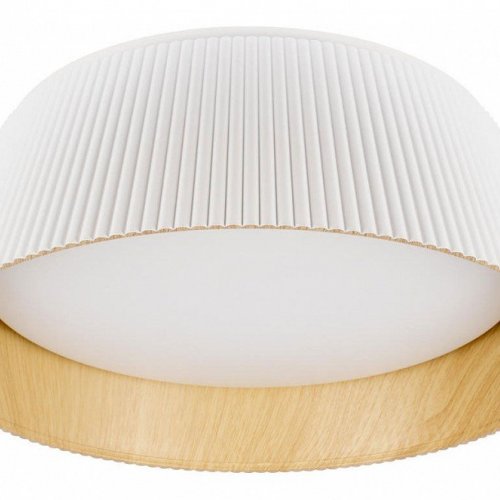 Потолочный светильник Loft IT Evans 10224 White