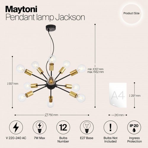 Подвесная люстра Maytoni Jackson T546PL-12B Подвесная люстра Maytoni Jackson T546PL-12B