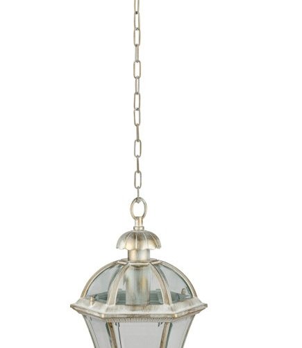 Уличный светильник подвесной Oasis Light ROMA L 95205L Gw