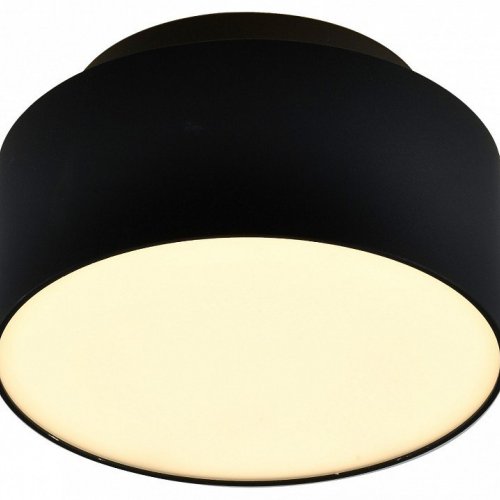 Накладной светильник ST-Luce ST166 ST166.442.17