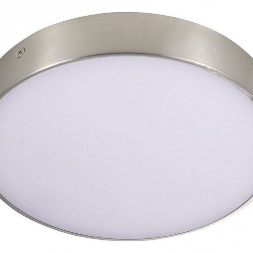 Потолочный светодиодный светильник Aployt Evon APL.0114.19.24 Потолочный светодиодный светильник Aployt Evon APL.0114.19.24