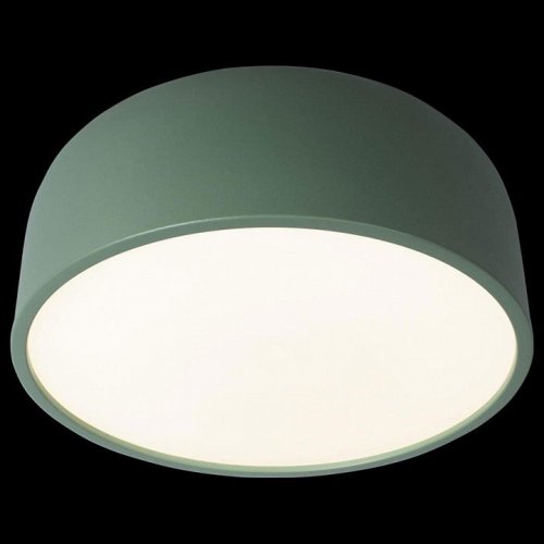 Потолочный светильник Loft IT Axel 10201/350 Green