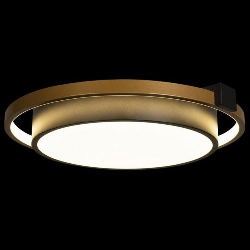 Потолочный светильник Loft IT Mike 10169 Потолочный светильник Loft IT Mike 10169