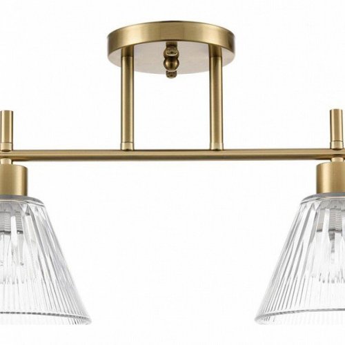 Потолочная люстра Lumion Vivian 8188/2C