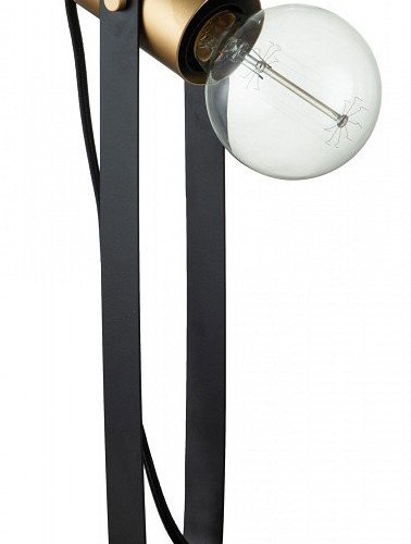Настольная лампа декоративная Indigo Animo 10007/B/1T Black