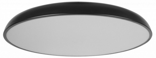 Потолочный светильник LOFT IT Dime 10371 Black